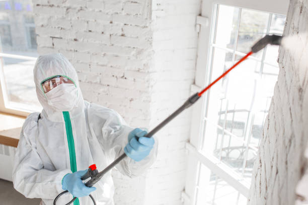 Best Specialized Mold Remediation in Adrian, MN